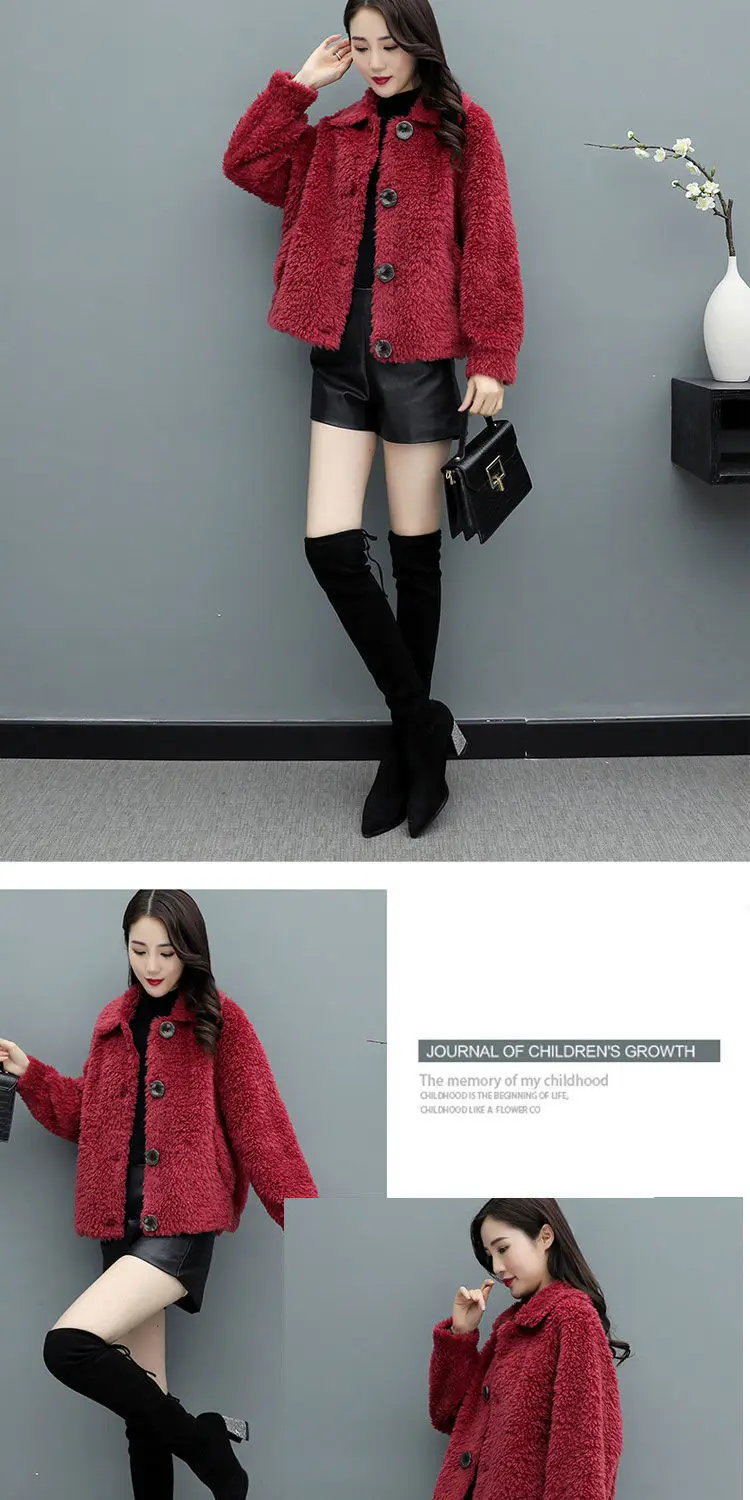 Lamb Wool Coat Women Red 2025 Short Sweatshirt — feature 16