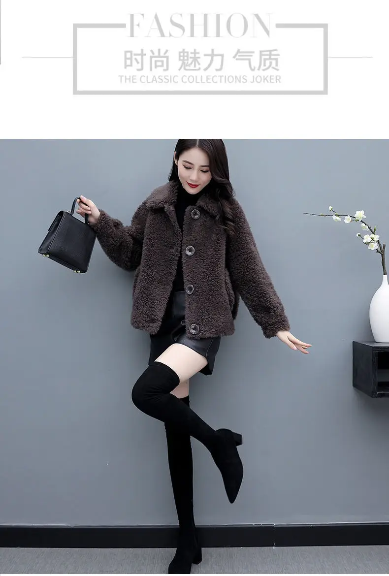 Lamb Wool Coat Women Red 2025 Short Sweatshirt — feature 8