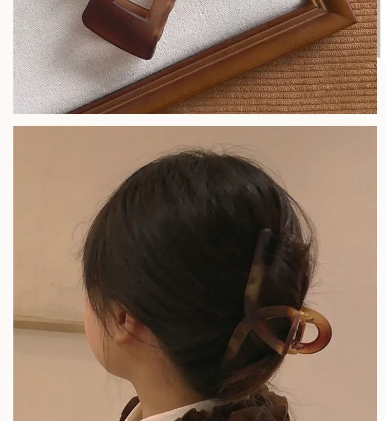 Frosted Amber Hair Clips for Women Elegant Hairpin — feature 19