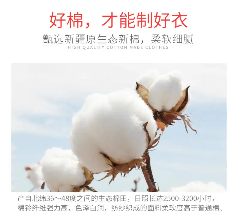 详情_03.jpg