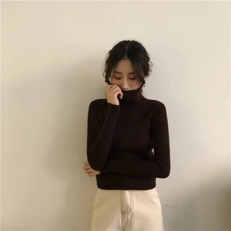 Women Korean Style Slim Knitted Turtleneck Sweaters 2025 — feature 20
