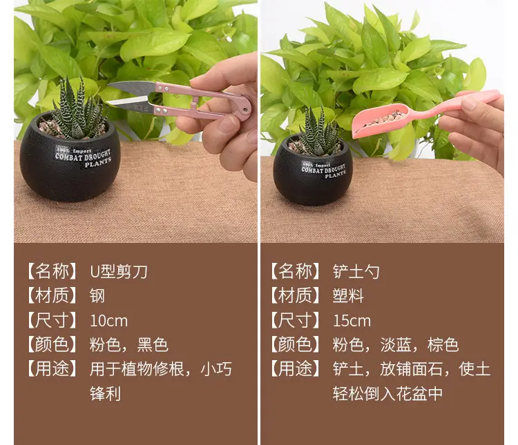 Fleshy Plant Planting Tools Combination suit Flower Planting Gardening Supplies Potted Plant Tools Spraying Pot Gardening Wholesale — feature 18