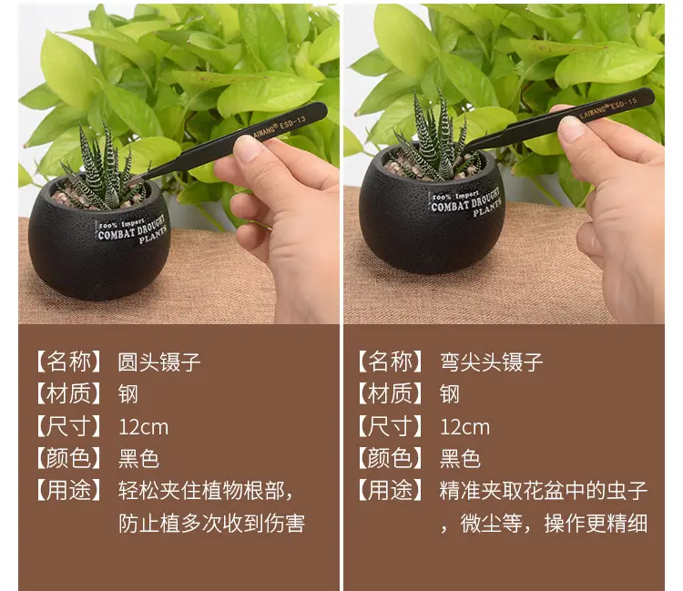 Fleshy Plant Planting Tools Combination suit Flower Planting Gardening Supplies Potted Plant Tools Spraying Pot Gardening Wholesale — feature 19