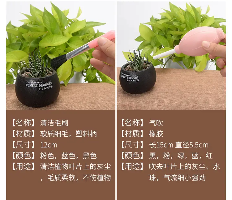 Fleshy Plant Planting Tools Combination suit Flower Planting Gardening Supplies Potted Plant Tools Spraying Pot Gardening Wholesale — feature 20