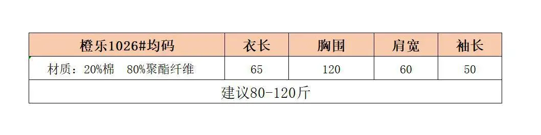 2024 Korean Style Black Polo Lapel Sweatshirt for Women — feature 3