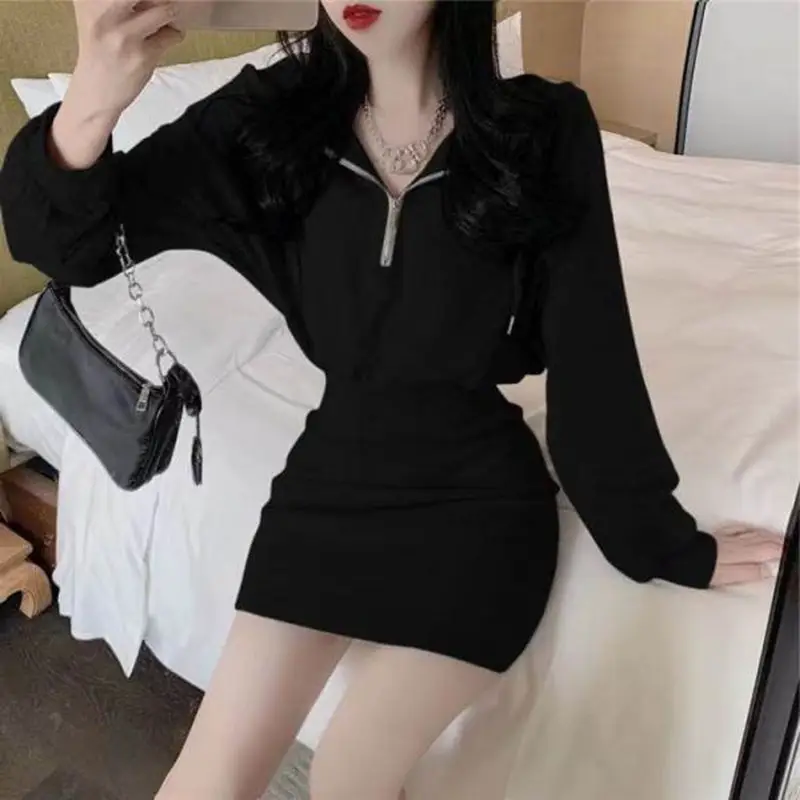 Light Grey Long Sleeve Waist Cover Dress for Women