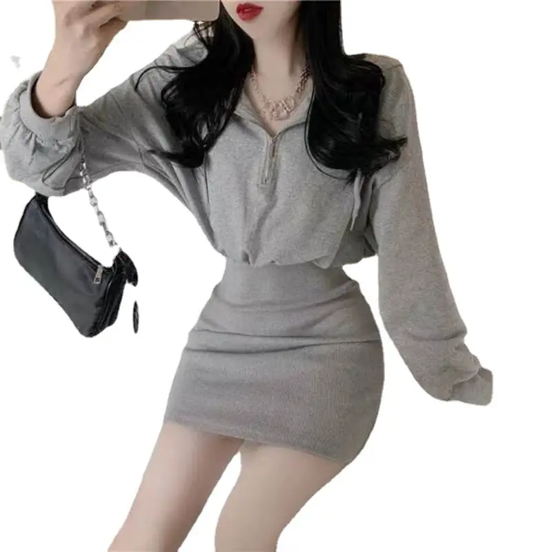 Light Grey Long Sleeve Waist Cover Dress for Women