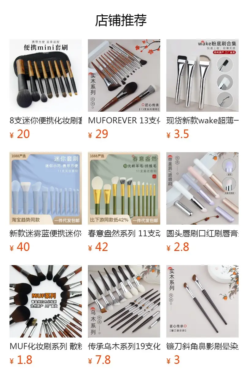 12-Piece Mini Makeup Brush Set with Zipper Case — feature 1
