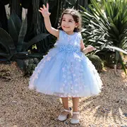 Princess Dress for Baby Girl Birthday Fashionable Mesh Dress — feature 7