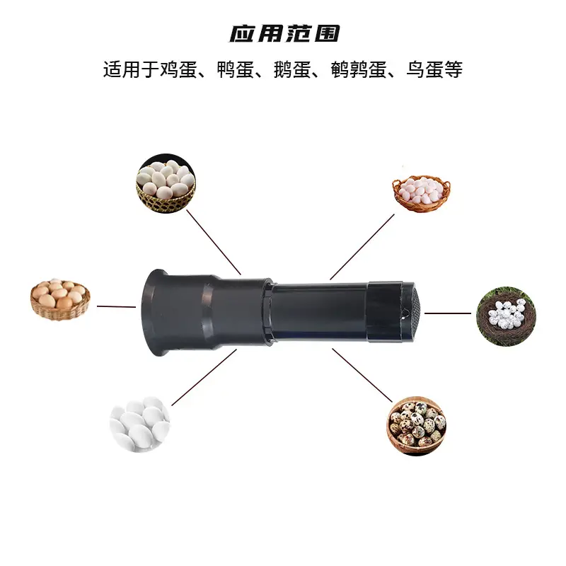 LED Egg Inspection Light Cold White Flashlight - Image 3