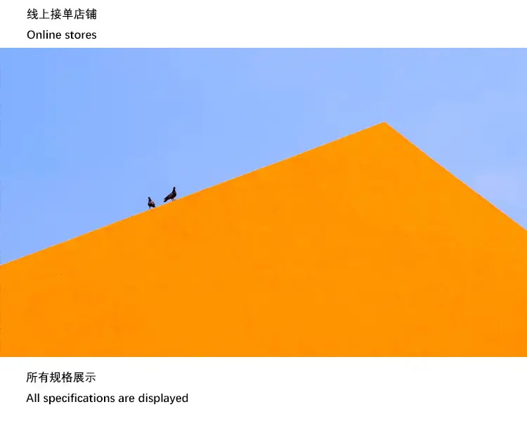 x2.jpeg
