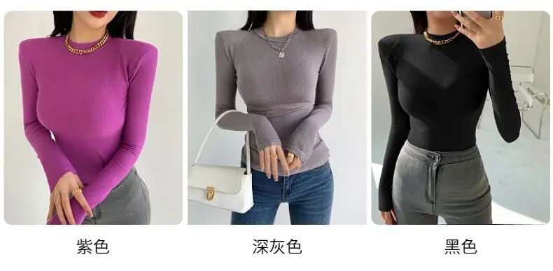Women's Purple Long Sleeve Korean Style Top — feature 3