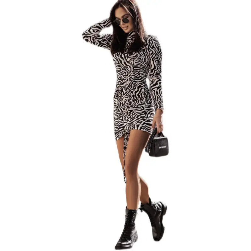 Leopard Print Long Sleeve Waist Dress for Women