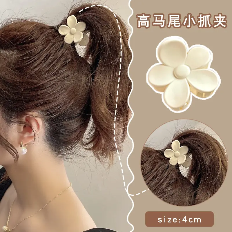 Zhou Yangqing Black Small Grab Clip High Ponytail Fixed Artifact Bangs Side Shark Hairpin Back of Head Female Hairpin - Image 20