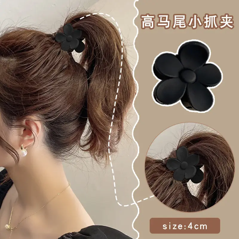 Zhou Yangqing Black Small Grab Clip High Ponytail Fixed Artifact Bangs Side Shark Hairpin Back of Head Female Hairpin - Image 21