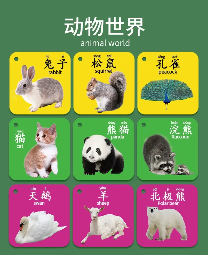90+ Card Early Education Toy for Kids — feature 22