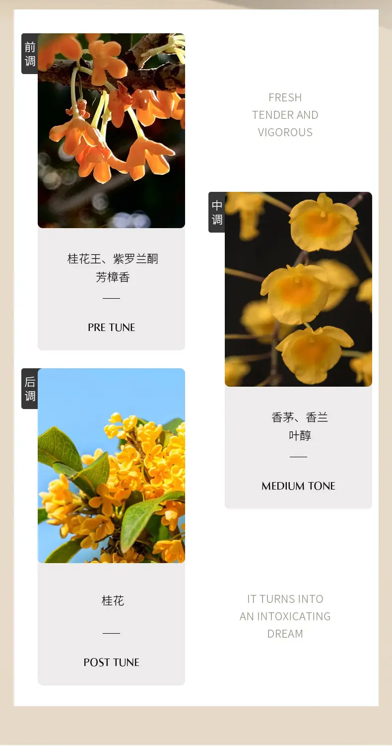 Perfume for Women, Osmanthus, Jasmine, Rose, Long-Lasting Fresh Light Floral Fragrance, Popular Gardenia Fragrance — feature 9