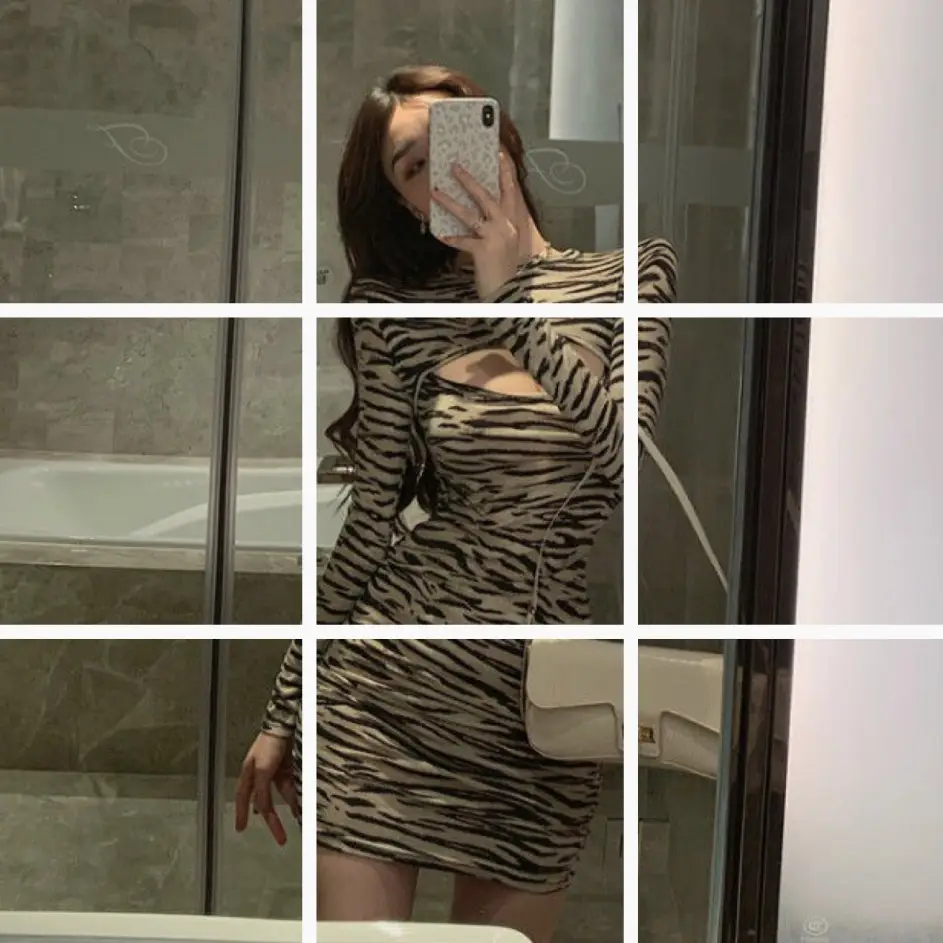 Women Zebra Print Long Sleeve Skirt Dress