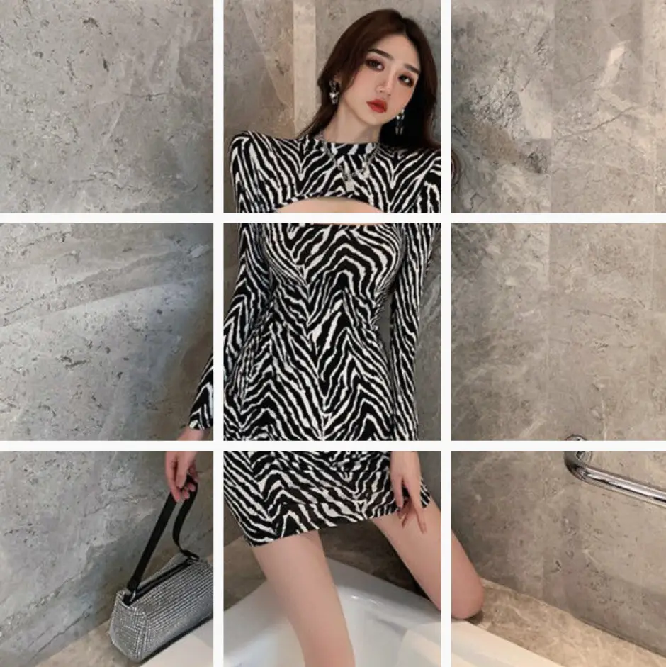 Women Zebra Print Long Sleeve Skirt Dress