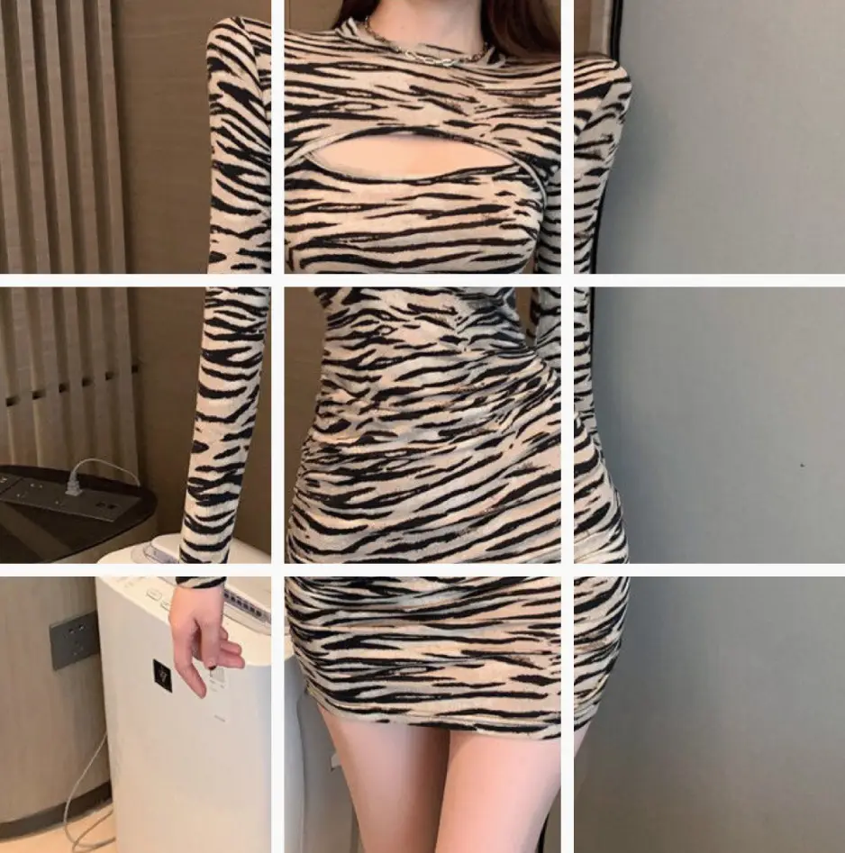Women Zebra Print Long Sleeve Skirt Dress