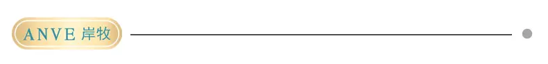 anve导航
