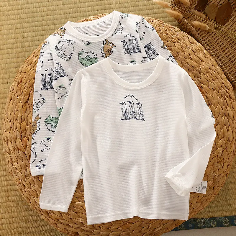 Early Autumn Boys Long Sleeve Cotton T-Shirts Set - Image 3