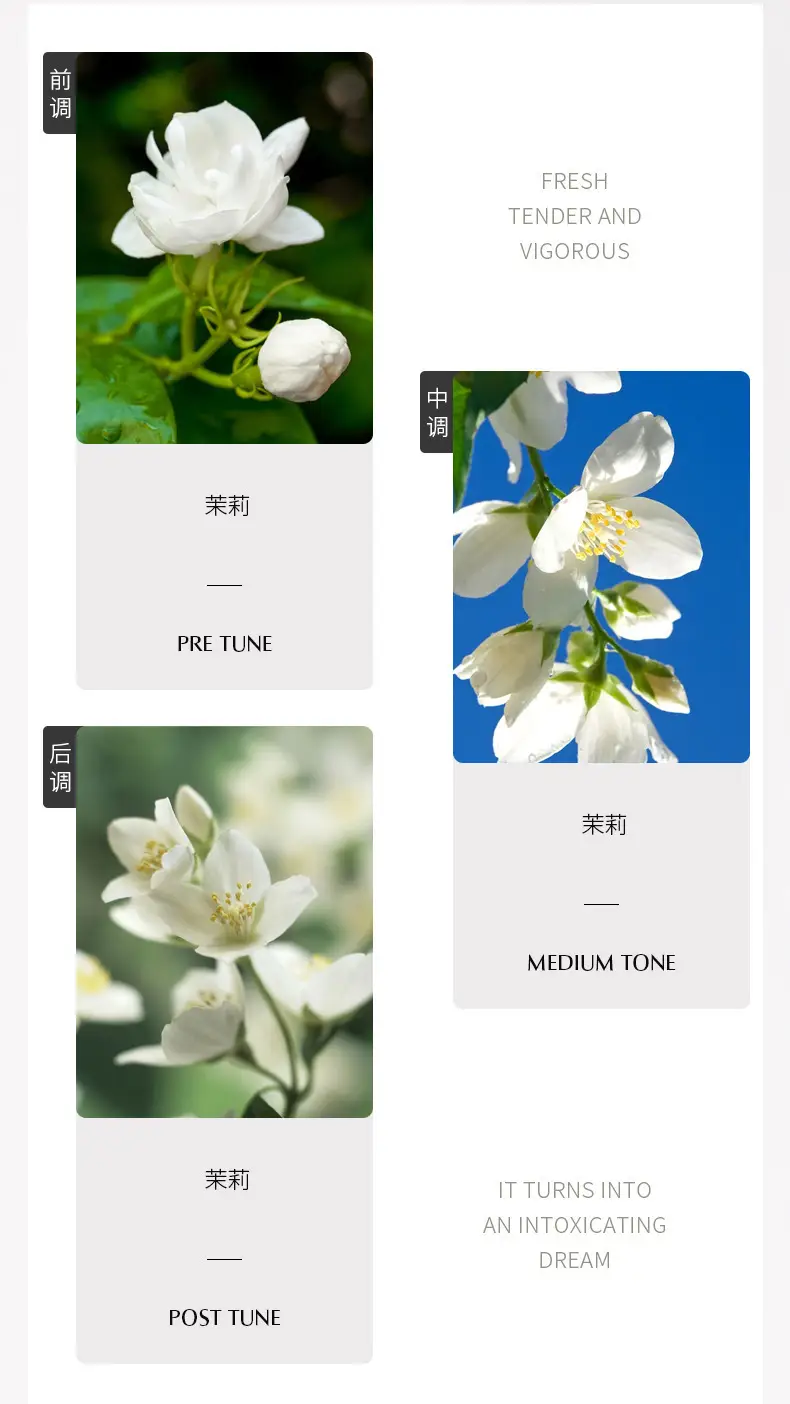 Chimei's New Perfume for Women, Long-Lasting Light Floral Fragrance, Osmanthus and Jasmine Fragrance, Factory Ready Stock Perfume Wholesale — feature 11