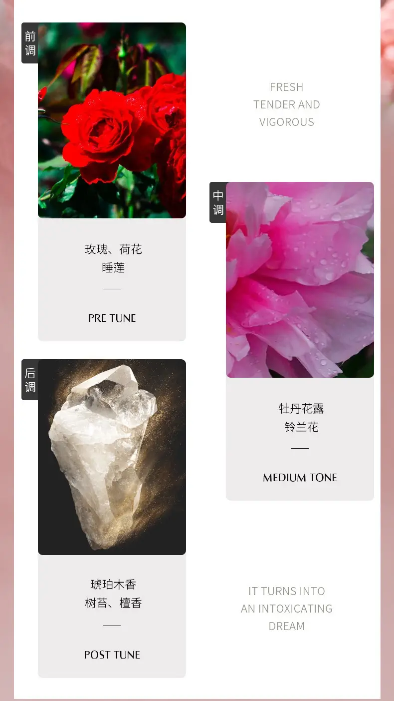 Chimei's New Perfume for Women, Long-Lasting Light Floral Fragrance, Osmanthus and Jasmine Fragrance, Factory Ready Stock Perfume Wholesale — feature 7