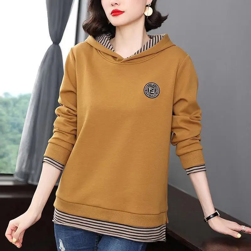 Women Velvet Hooded Sweatshirt Long Sleeve Winter Autumn - Image 2