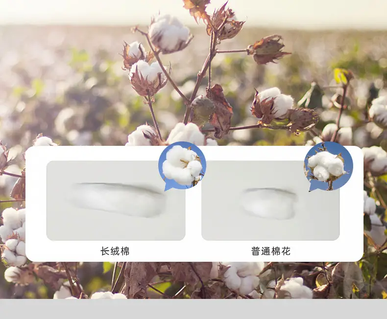Children's Cotton Socks Spring Autumn Blue Green White — feature 11