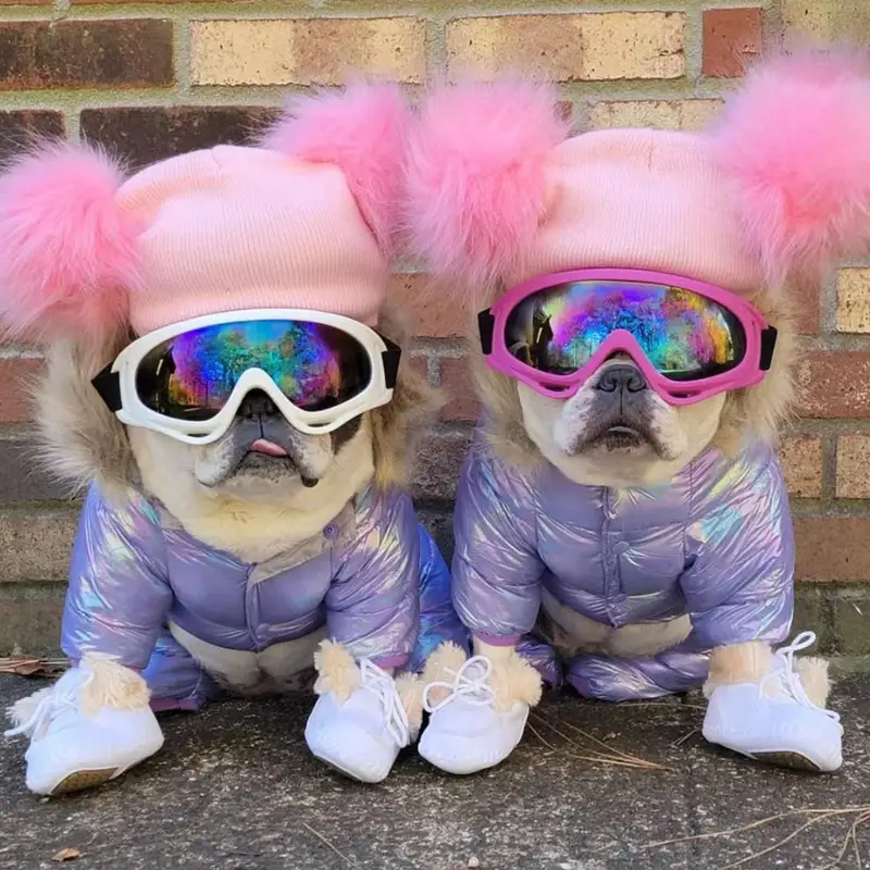 Red Multi-Color Pet Sunglasses for Dogs - Image 12