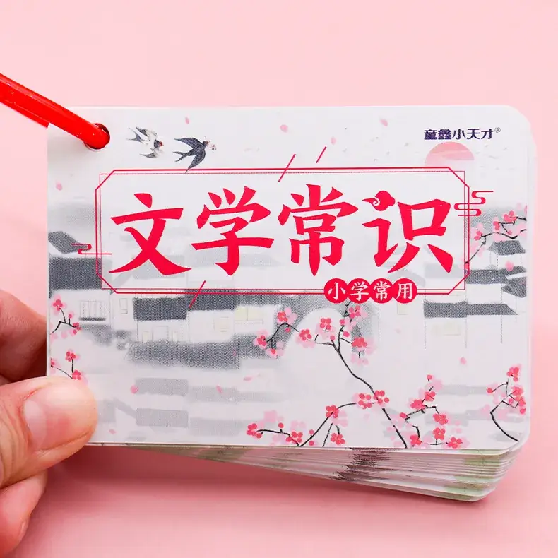 Chinese Pinyin Card for Kids Mathematical Game - Image 17