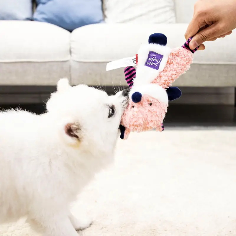 Gigwi Is a Premium Dog Toy with Crinkle Paper, Featuring a Lion, Fox, and Raccoon Design, Making Sounds, Plush Material, and Durable for Teeth Grinding