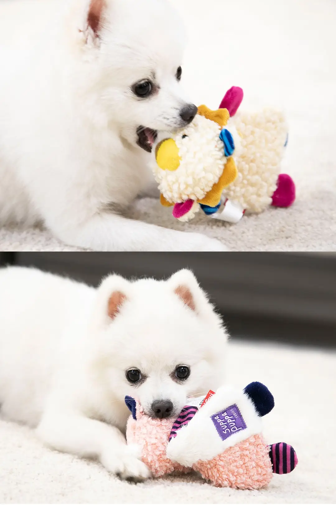 Gigwi Is a Premium Dog Toy with Crinkle Paper, Featuring a Lion, Fox, and Raccoon Design, Making Sounds, Plush Material, and Durable for Teeth Grinding — feature 8