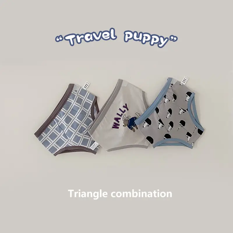 New Year Greetings Cartoon Underwear Hanger for Boys - Image 20