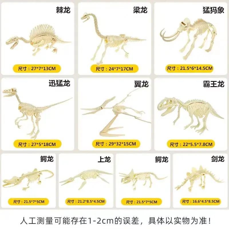 Dinosaur Fossil Skeleton Model for Kids DIY Assembly