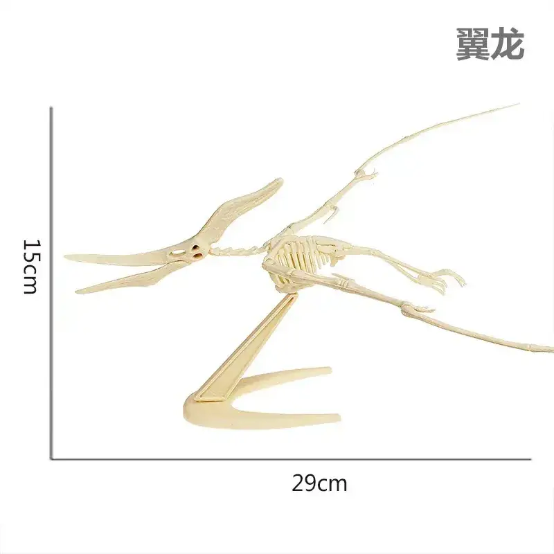 Dinosaur Fossil Skeleton Model for Kids DIY Assembly
