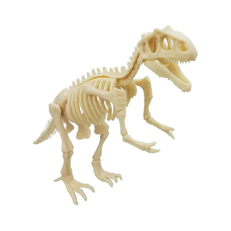 Dinosaur Fossil Skeleton Model for Kids DIY Assembly