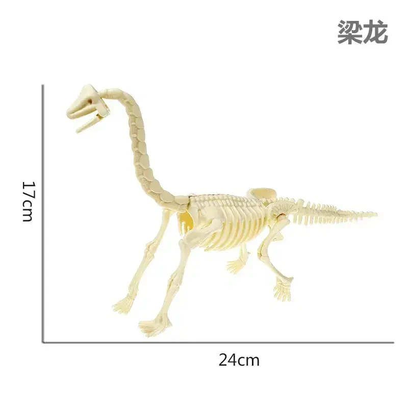 Dinosaur Fossil Skeleton Model for Kids DIY Assembly