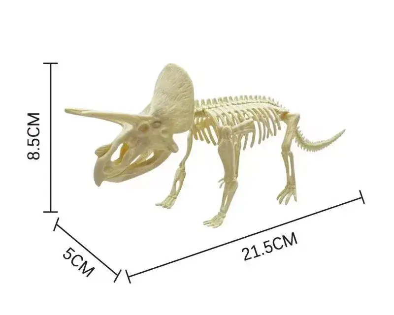Dinosaur Fossil Skeleton Model for Kids DIY Assembly