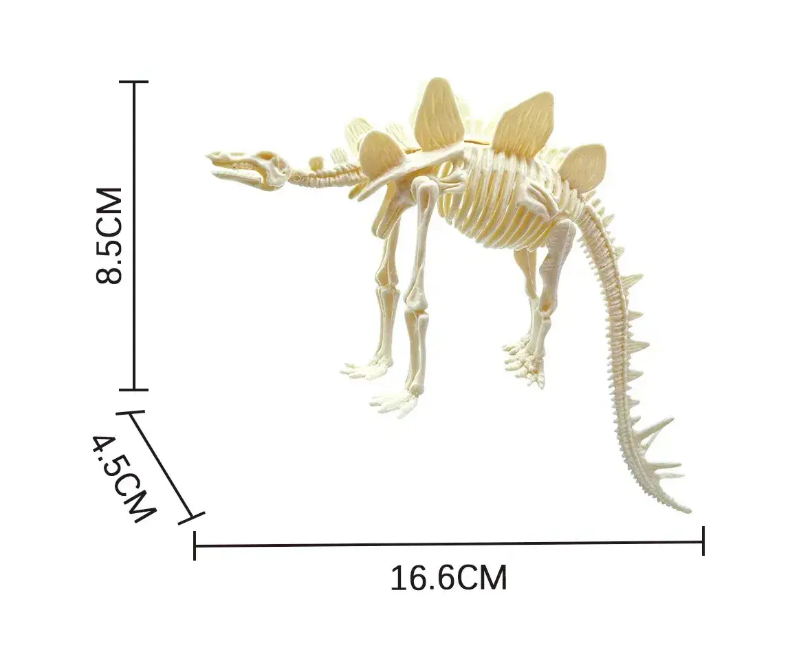 Dinosaur Fossil Skeleton Model for Kids DIY Assembly