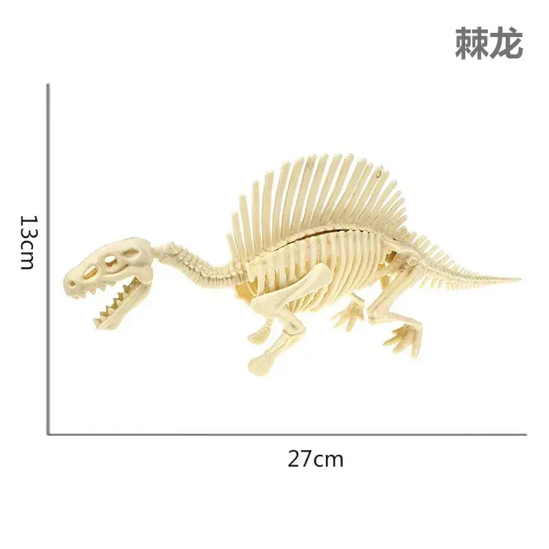 Dinosaur Fossil Skeleton Model for Kids DIY Assembly