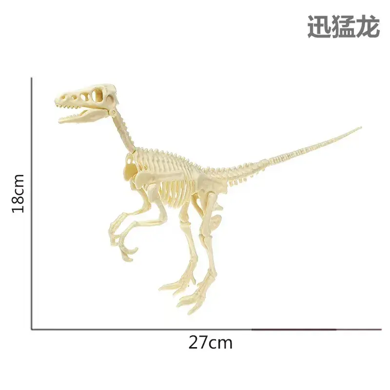 Dinosaur Fossil Skeleton Model for Kids DIY Assembly
