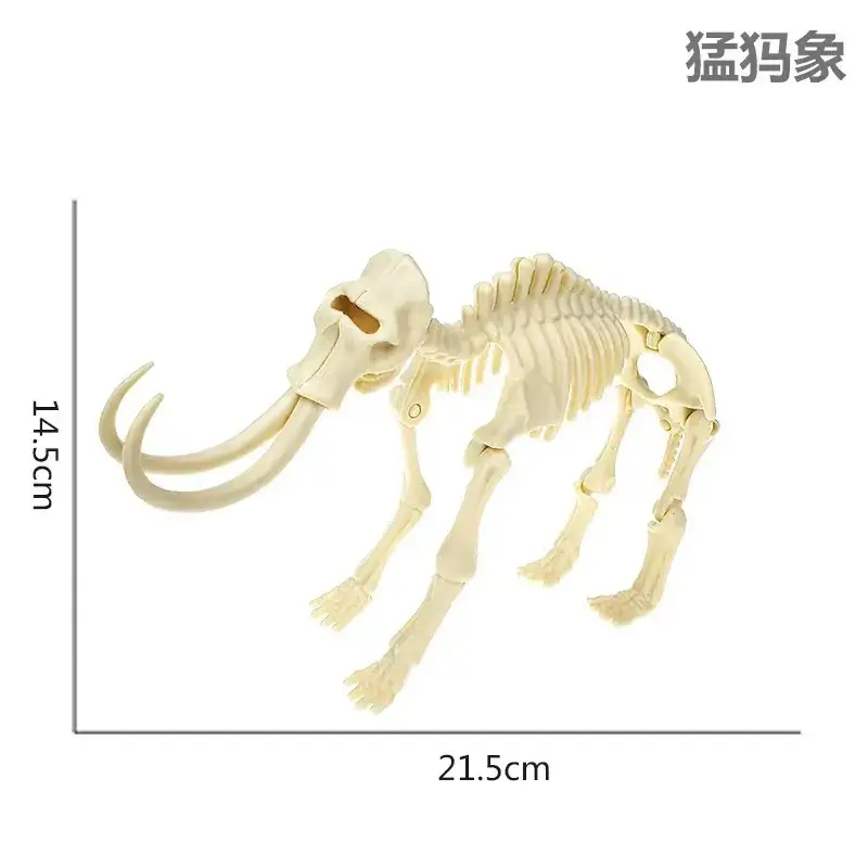 Dinosaur Fossil Skeleton Model for Kids DIY Assembly
