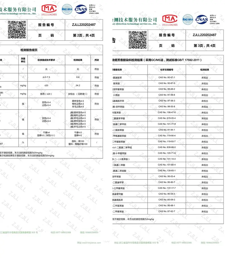 baogao_02.jpg