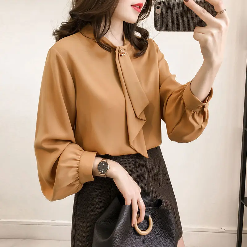 Women Chiffon Long Sleeve Shirt Brown Large - Image 6