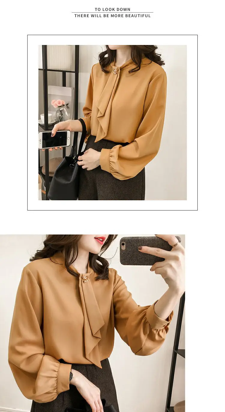 Women Chiffon Long Sleeve Shirt Brown Large — feature 10
