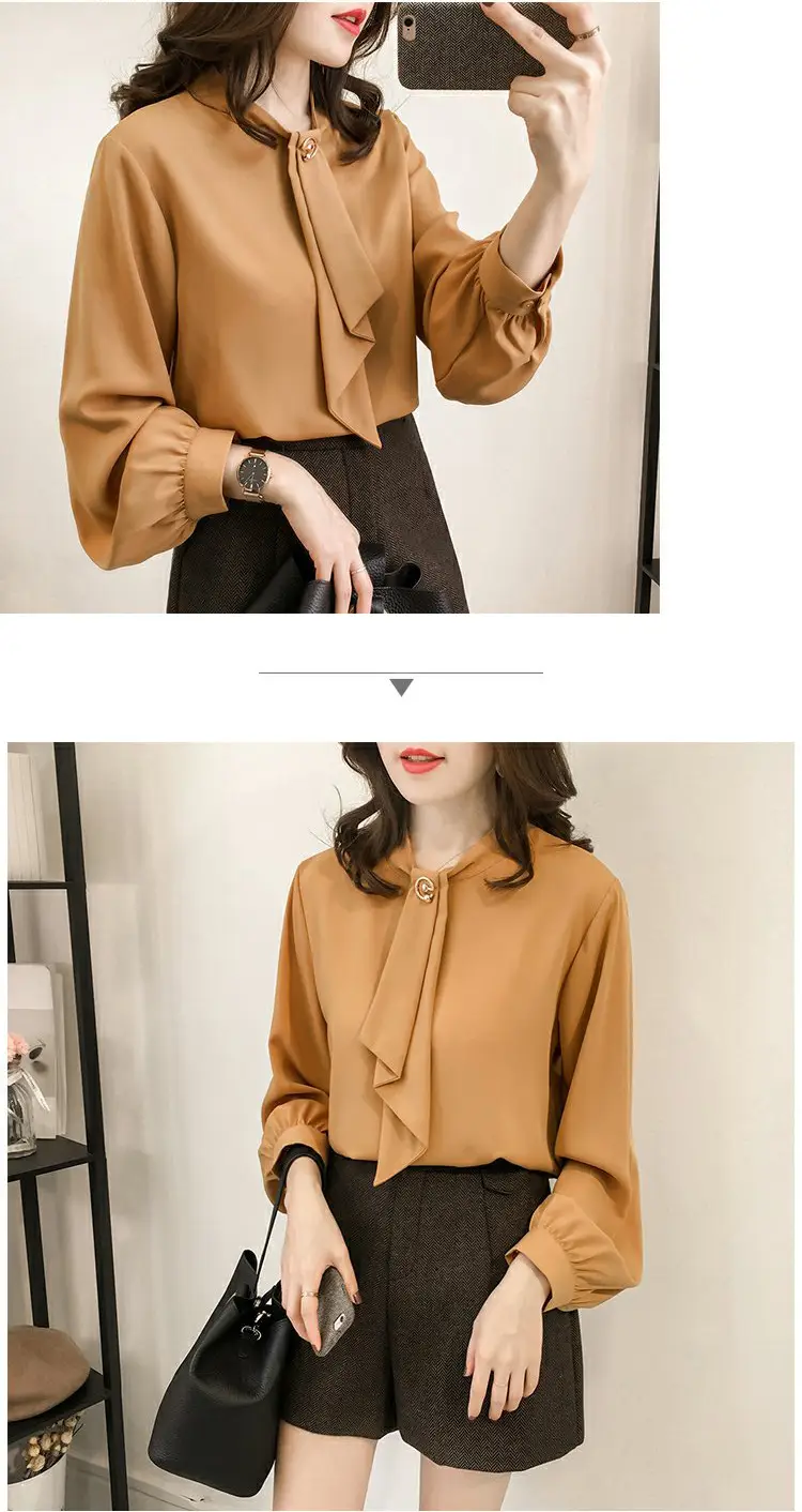 Women Chiffon Long Sleeve Shirt Brown Large — feature 11