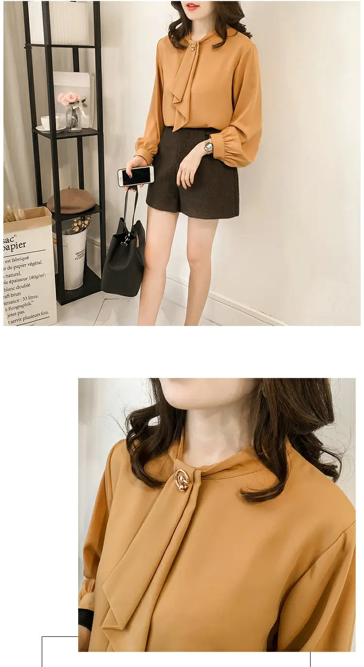 Women Chiffon Long Sleeve Shirt Brown Large — feature 12