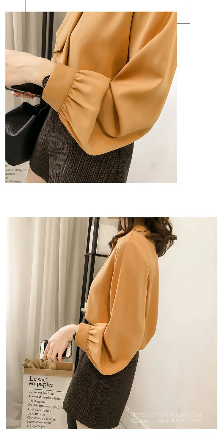 Women Chiffon Long Sleeve Shirt Brown Large — feature 13